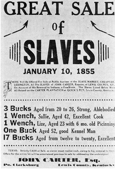great-sale.jpg