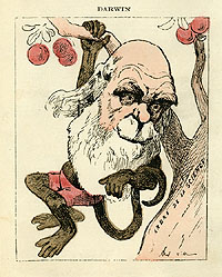 Depicting Darwin as a monkey has been popular since 1859. It is still popular among Fundamentalist, who might not have noticed that the theory of evolution applies to them just as much as it applies to Darwin